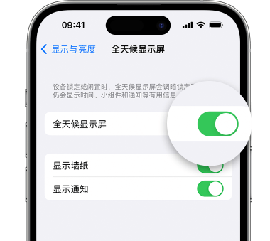 双鸭山苹果15预约维修分享iPhone15如何设置全天候显示屏幕可见 